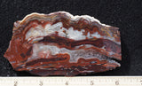 Mexican Crazy Lace Agate Rock Slab 483