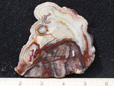Mexican Crazy Lace Agate Rock Slab 424