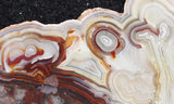 Mexican Crazy Lace Agate Rock Slab 424