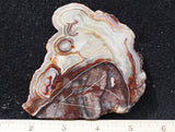 Mexican Crazy Lace Agate Rock Slab 424