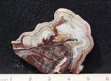 Mexican Crazy Lace Agate Rock Slab 486