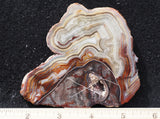 Mexican Crazy Lace Agate Rock Slab 489