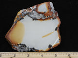 Maligano Jasper Rock Slab 81