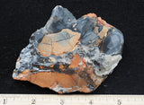 Maligano Jasper Slab 18