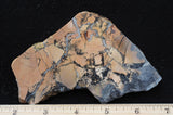 Maligano Jasper Rock Slab 4