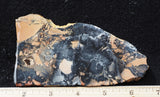 Maligano Jasper Rock Slab 96
