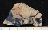 Maligano Jasper Rock Slab 78