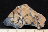 Maligano Jasper Rock Slab 8