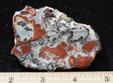 Maligano Jasper Slab 20