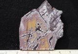 Sonoran Dendritic Rhyolite Rock Slab 451
