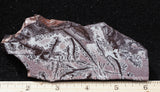 Sonoran Dendritic Rhyolite Rock Slab 497