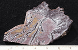 Sonoran Dendritic Rhyolite Rock Slab 479