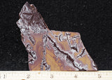 Sonoran Dendritic Rhyolite Rock Slab 461