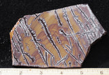 Sonoran Dendritic Rhyolite Rock Slab 471