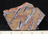 Sonoran Dendritic Rhyolite Rock Slab 498