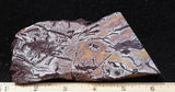 Sonoran Dendritic Rhyolite Rock Slab 492