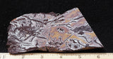 Sonoran Dendritic Rhyolite Rock Slab 492