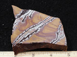 Sonoran Dendritic Rhyolite Rock Slab 494