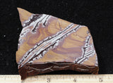 Sonoran Dendritic Rhyolite Rock Slab 494