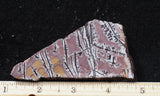 Sonoran Dendritic Rhyolite Rock Slab 483