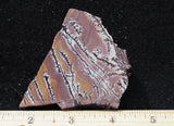 Sonoran Dendritic Rhyolite Rock Slab 499