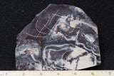 Exotica Jasper Slab 79