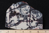 Exotica Jasper Rock slab 06