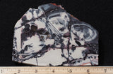 Exotica Jasper Rock slab 06
