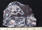 Exotica Jasper Rock slab 07