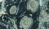 Kambaba Slab 65