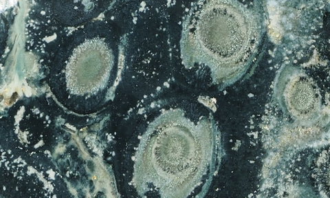 Kambaba Slab 65