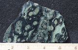 Kambaba Slab 79