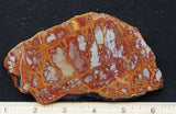 Noreena Jasper Rock Slab 289