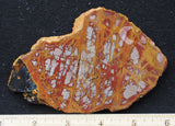 Noreena Jasper Rock Slab 298