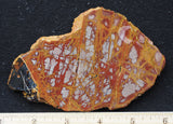 Noreena Jasper Rock Slab 298