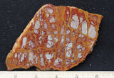 Noreena Jasper Rock Slab 291