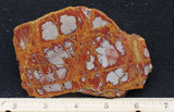 Noreena Jasper Rock Slab 297