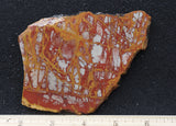 Noreena Jasper Rock Slab 290