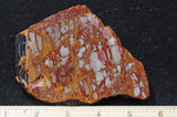 Noreena Jasper Rock Slab 296