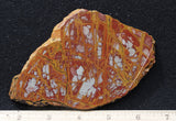 Noreena Jasper Rock Slab 299