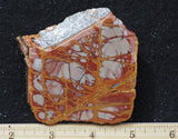 Noreena Jasper Rock Slab 293