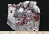 Laguna Lace Agate Rock Slab 435