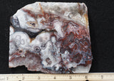 Laguna Lace Agate Rock Slab 425