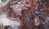 Laguna Lace Agate Rock Slab 425