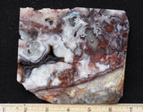 Laguna Lace Agate Rock Slab 476