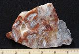 Laguna Lace Agate Rock Slab 486