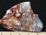 Laguna Lace Agate Rock Slab 436