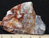Laguna Lace Agate Rock Slab 436