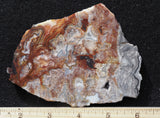 Bargain Bin E Slab 261