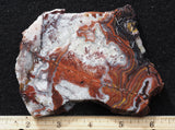 Laguna Lace Agate Rock Slab 478